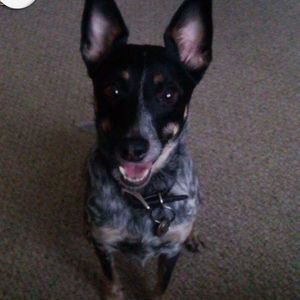 Meet your Posher, Greg